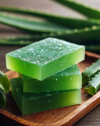 aloe vera 10x aloe vera 10x