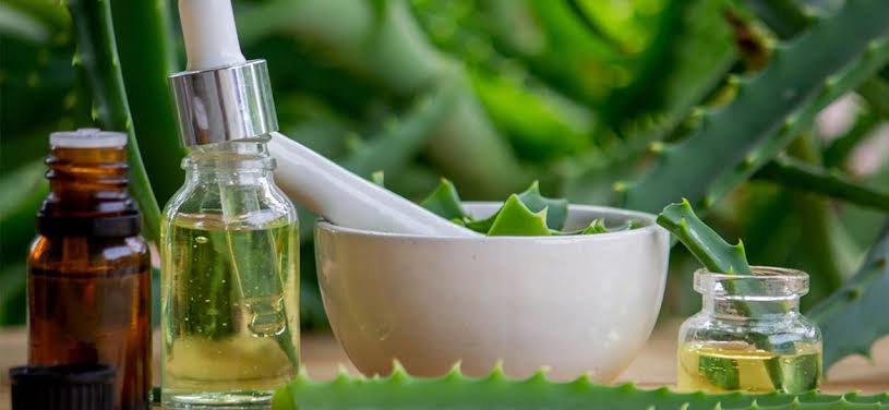 aloe vera 10 x aloe vera 10 x